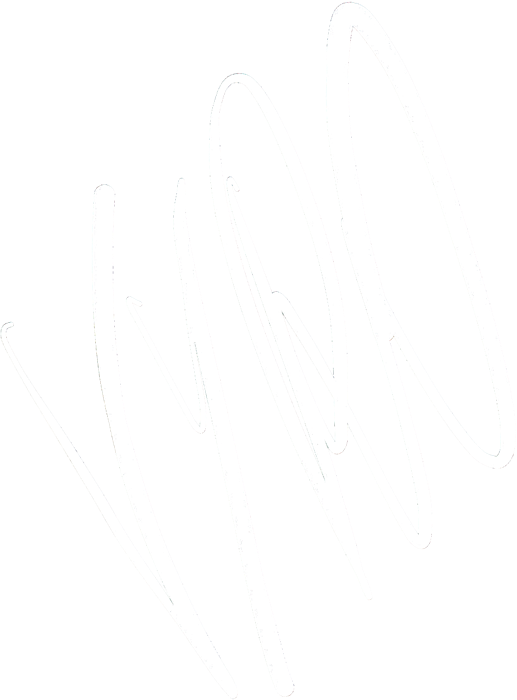Firma VYRO